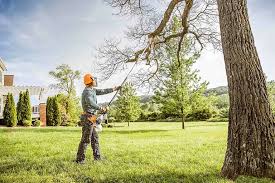 Reliable Thief River Falls, MN Tree Removal and Landscaping Services Solutions